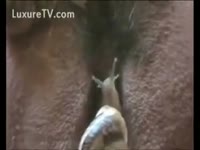 Horny slut enjoying enjoyment with sticky insects